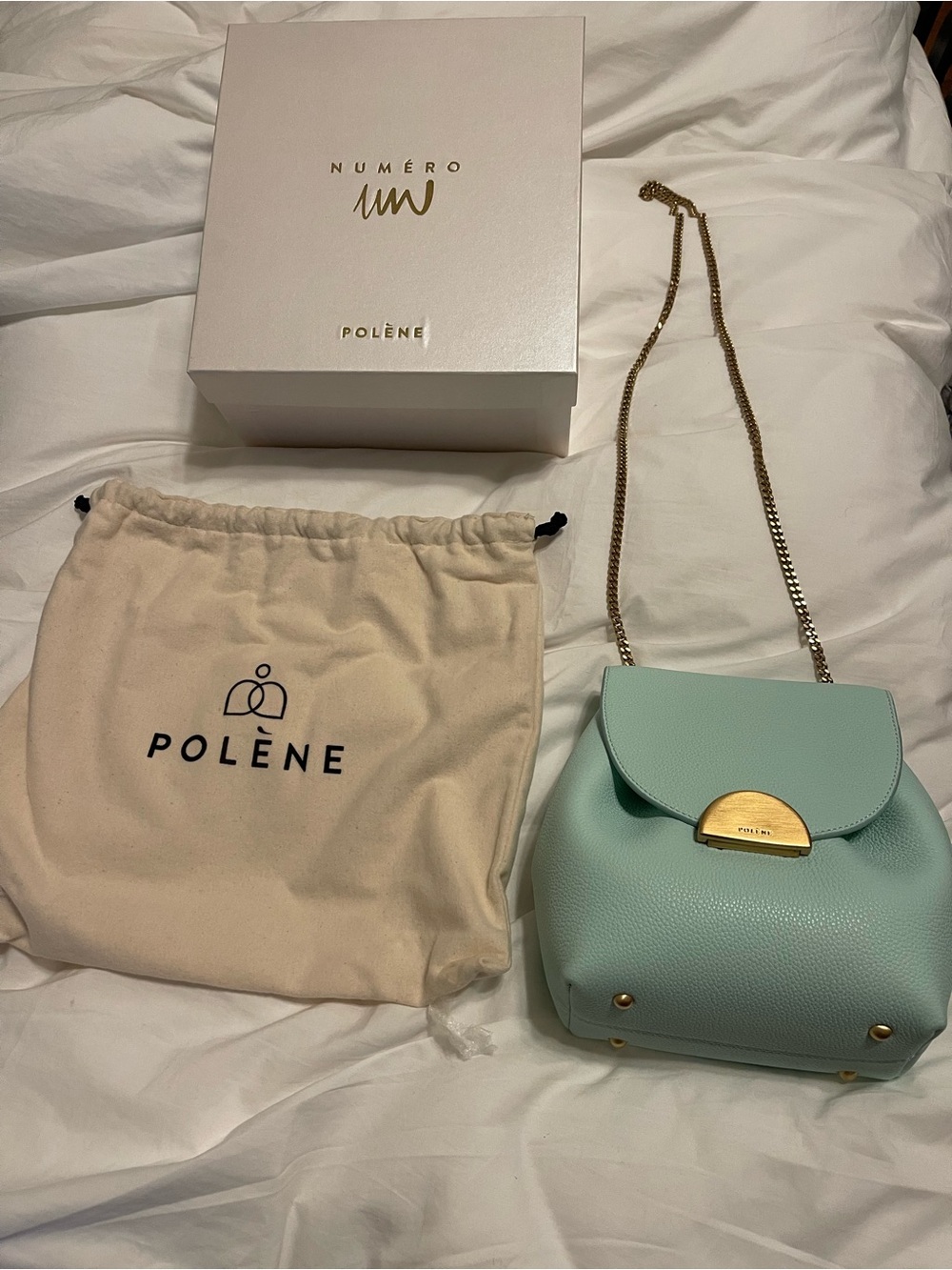 Polene Mini Shoulder Bag in Mint Green with Gold Hardware